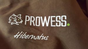duvet hibernatus