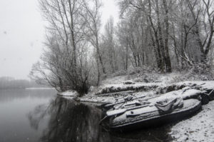 pêche carpe hiver