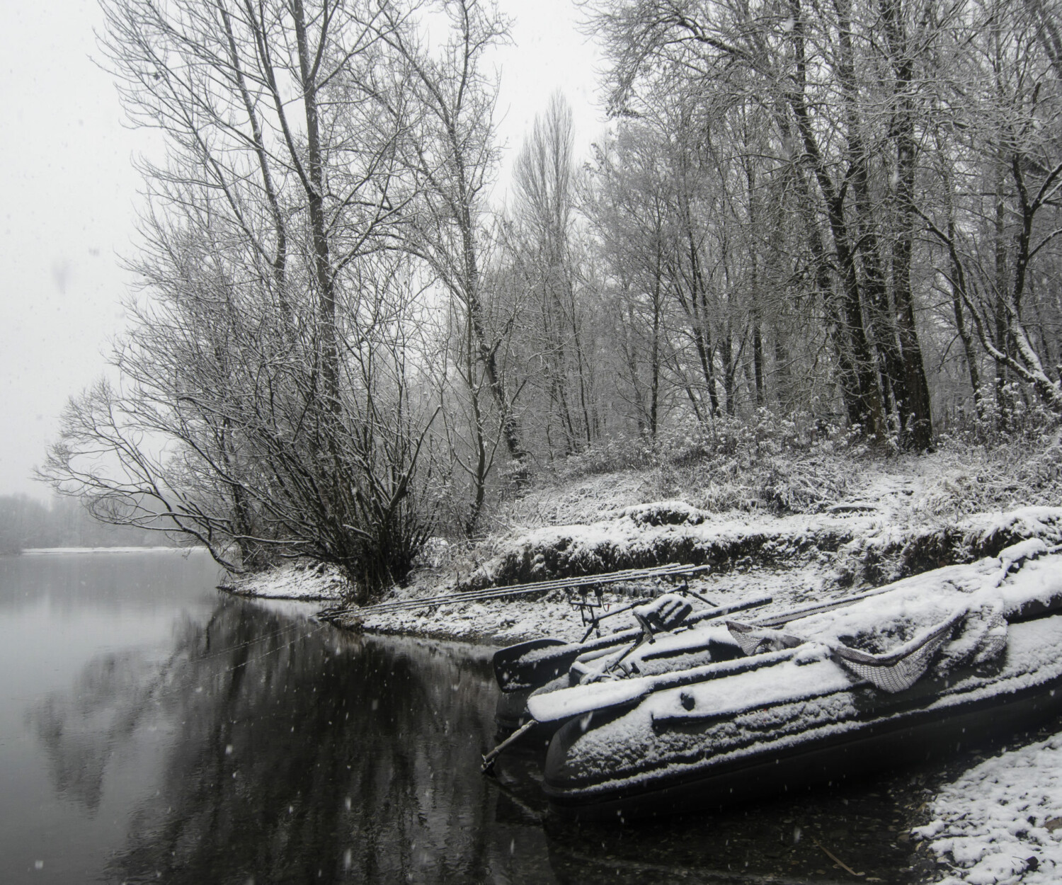pêche carpe hiver