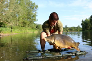prowess pêche de la carpe