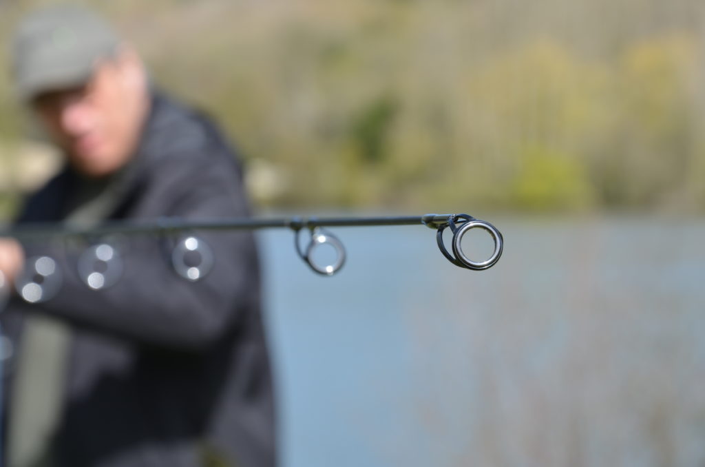 canne carpes