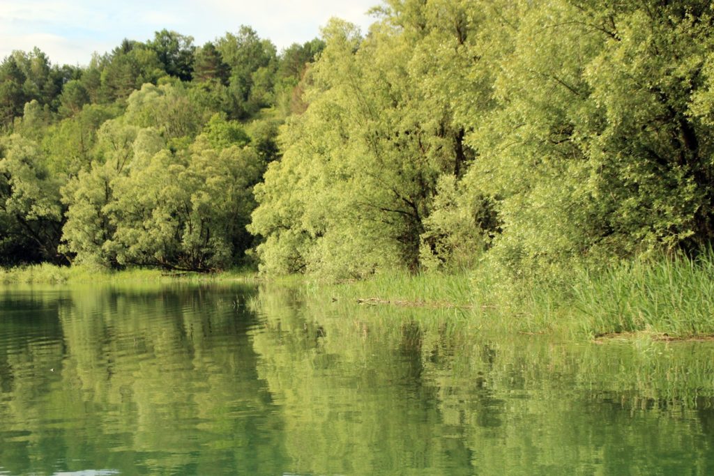 carpe barrage