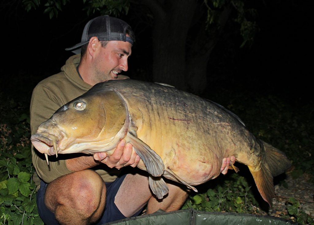 carpe de nuit