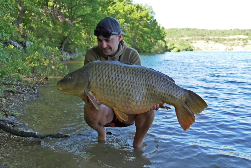 carpe en été