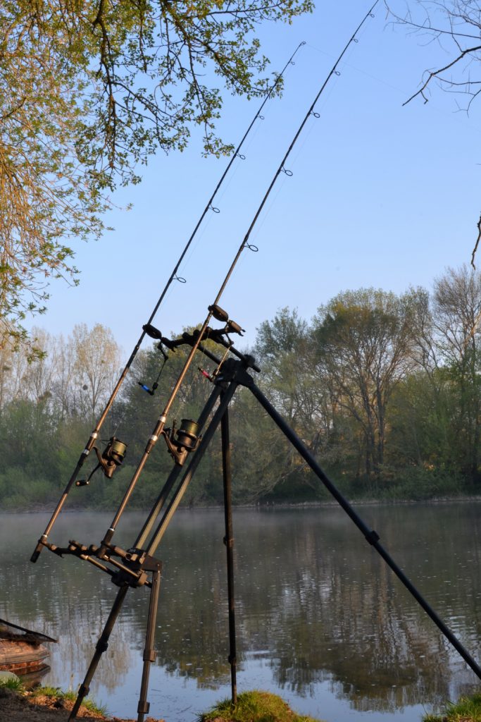 rodpo