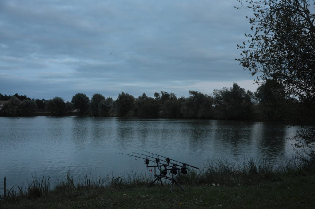carpe en gravière