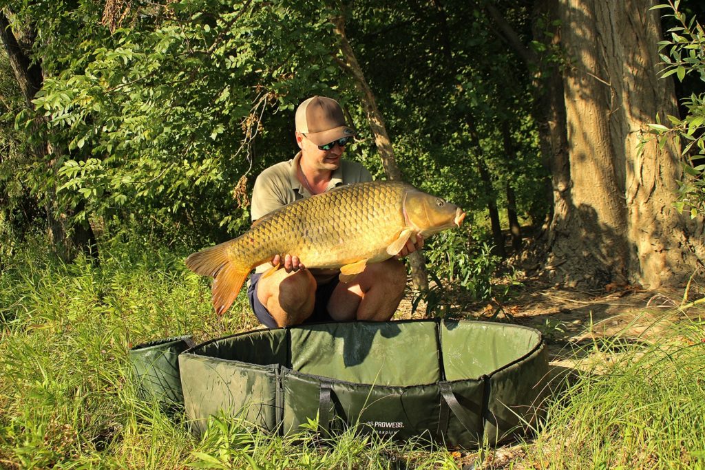 pêches rapides