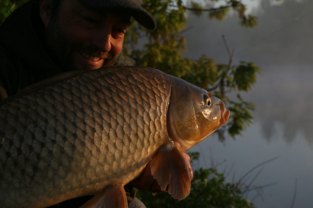 carpe avec la marée