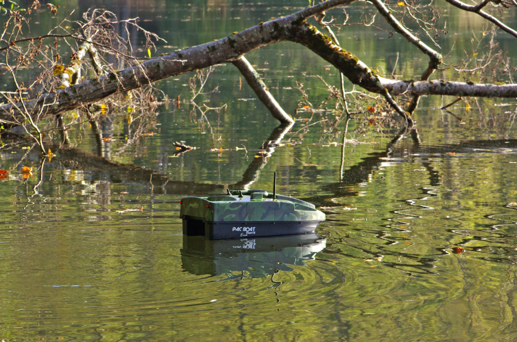 carpe au bateau amorceur