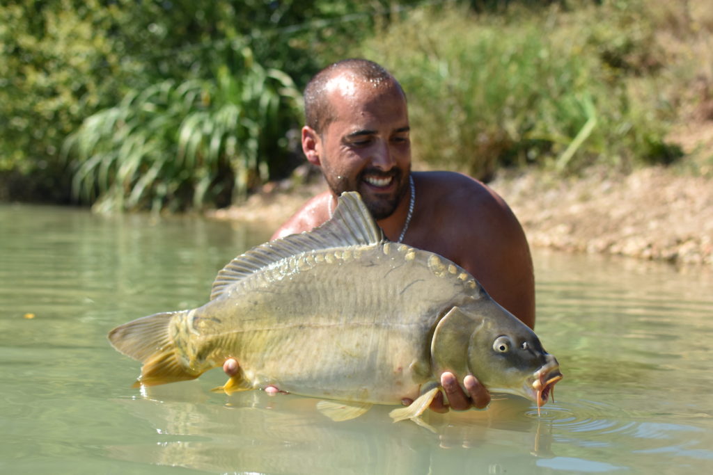 carpe en juillet