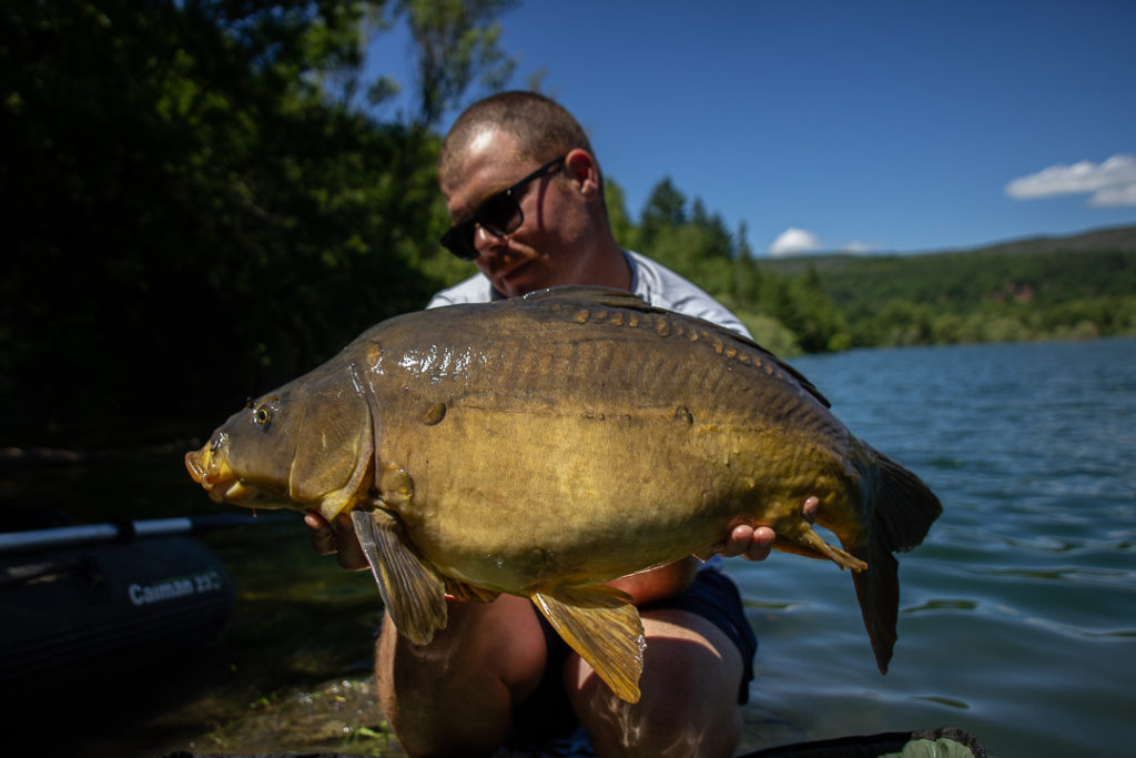 carpe en juillet