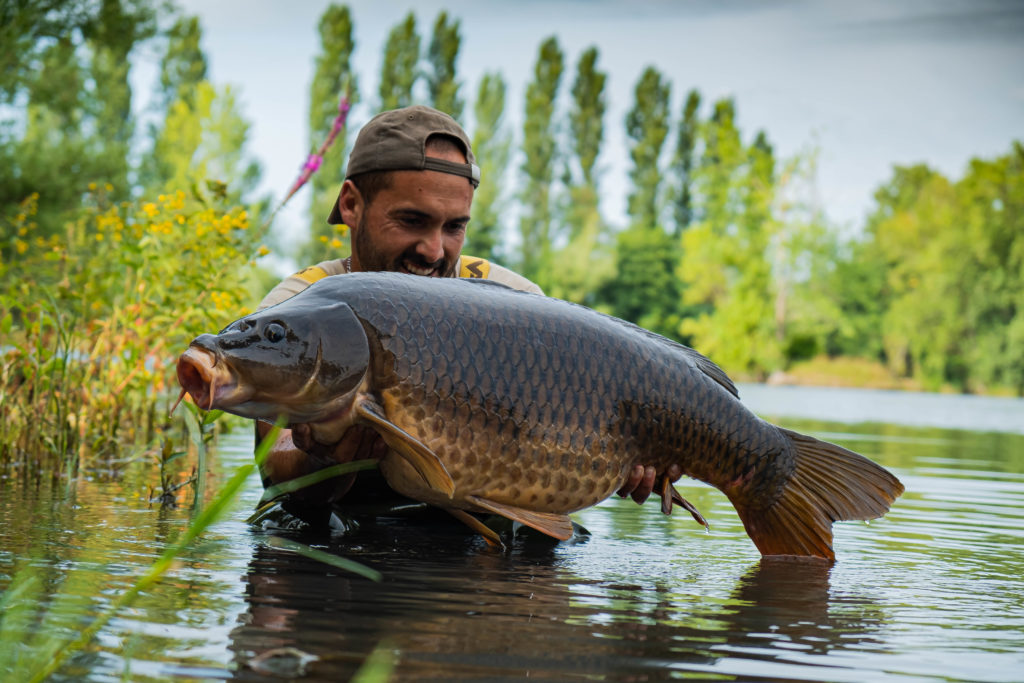 carpe en septembre