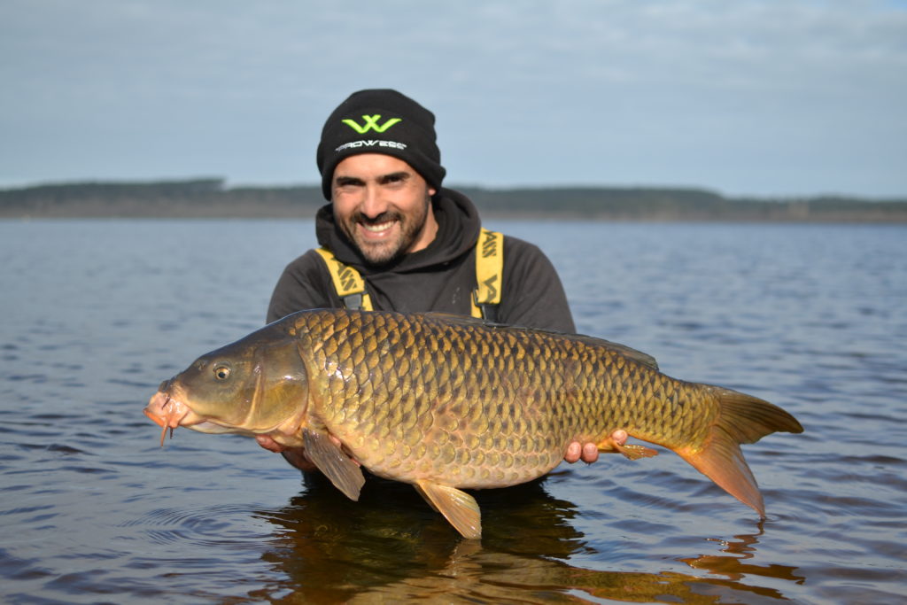 carpe en octobre