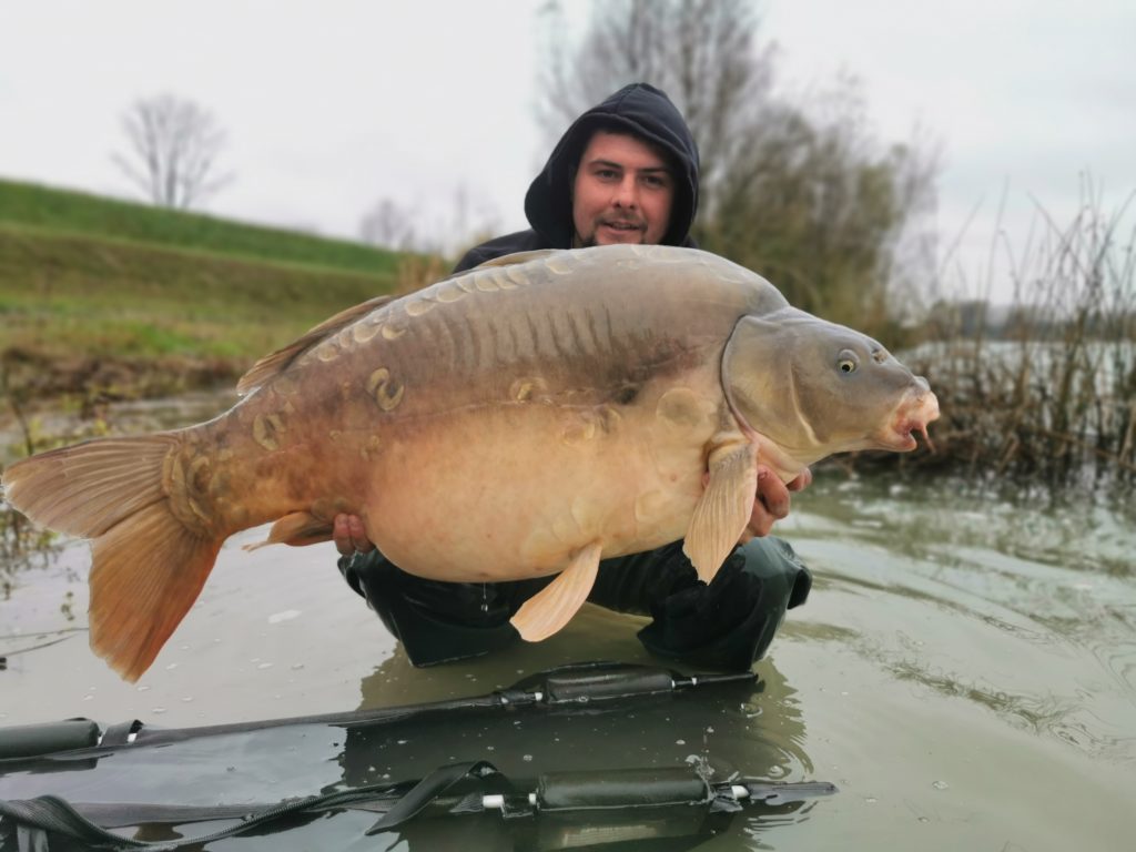 carpe en novembre