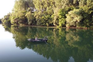 objectifs carpe