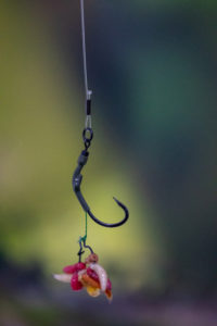 Spinner hair rig