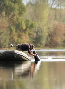 repérer des carpes