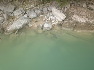 repérer des carpes