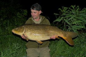 carpes sur le Rhône