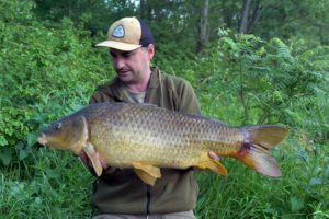 carpes sur le Rhône