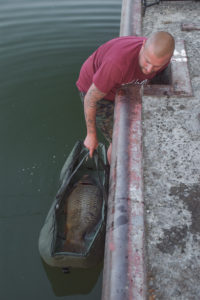 carpe en street fishing