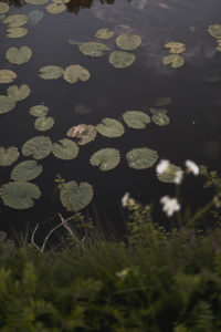 pêche au spot