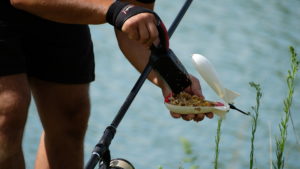 pêche au spot