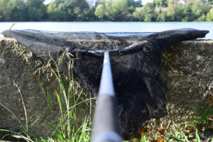 débuter dans la pêche de la carpe