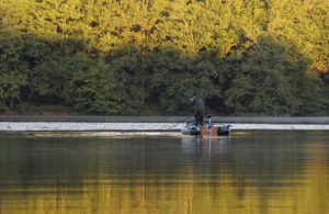 pêcher la carpe en bateau