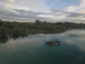 pêcher la carpe en bateau
