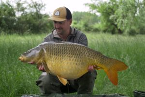 carpes avant la fraie