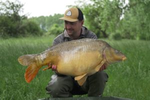 carpes avant la fraie