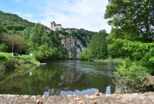 carpe en rivière en été