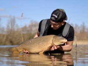 carpe en début de saison