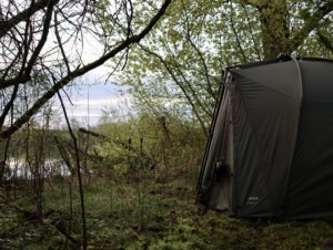 carpe en début de saison