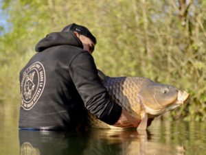 carpe en début de saison