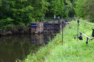 Mobilité en Rivière