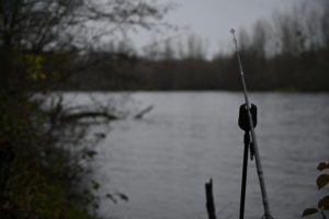 pêches de journée