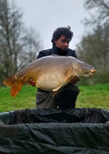grosses carpes