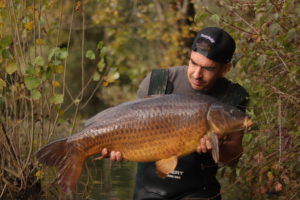 grosses carpes en automne